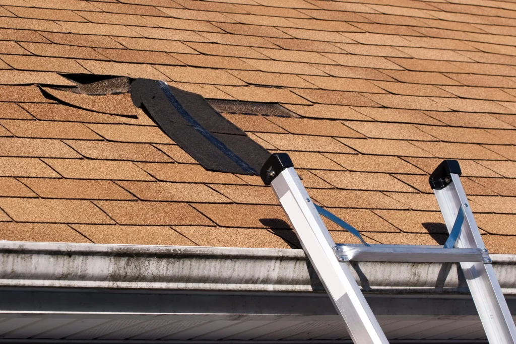 fixing damaged roof shingles a section was blown off after a storm with high winds cau SBI 301040734 2